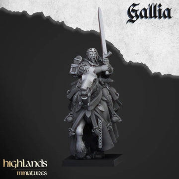 Questing Knights of Gallia