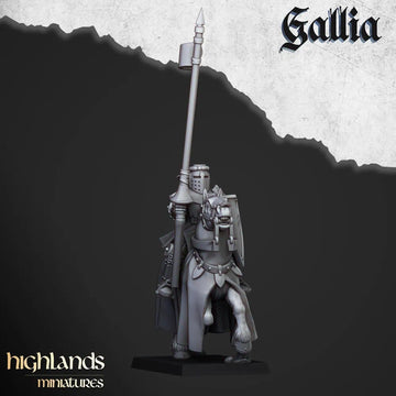 Young Knights of Gallia